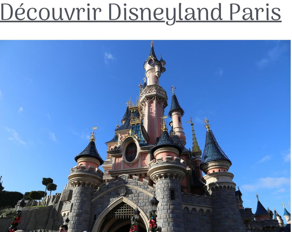 Proche Paris Et Disney-Calme Absolu Vaires-sur-Marne Exterior foto